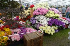 RHS Chelsea Flower Show 2016