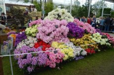 RHS Chelsea Flower Show 2016