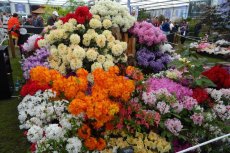 RHS Chelsea Flower Show 2016