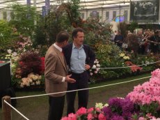 RHS Chelsea Flower Show 2016