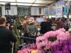 RHS Chelsea Flower Show 2016
