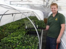 Rooting cuttings