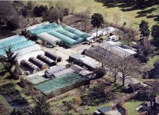 Millais Nurseries aerial picture