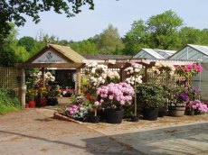 Plant Centre