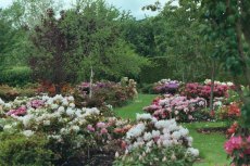 Trials garden - open throughout the year