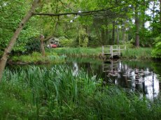 The top pond