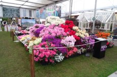 RHS Chelsea Flower Show 2016