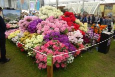 RHS Chelsea Flower Show 2016