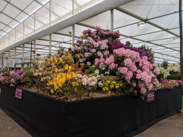 RHS Chelsea Flower Show 2019